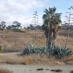 Meet your Posher, Erick